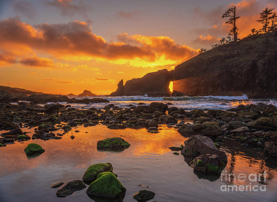 Washington State Photography Second Beach Sunset Sunrays Through The Hole Photograph