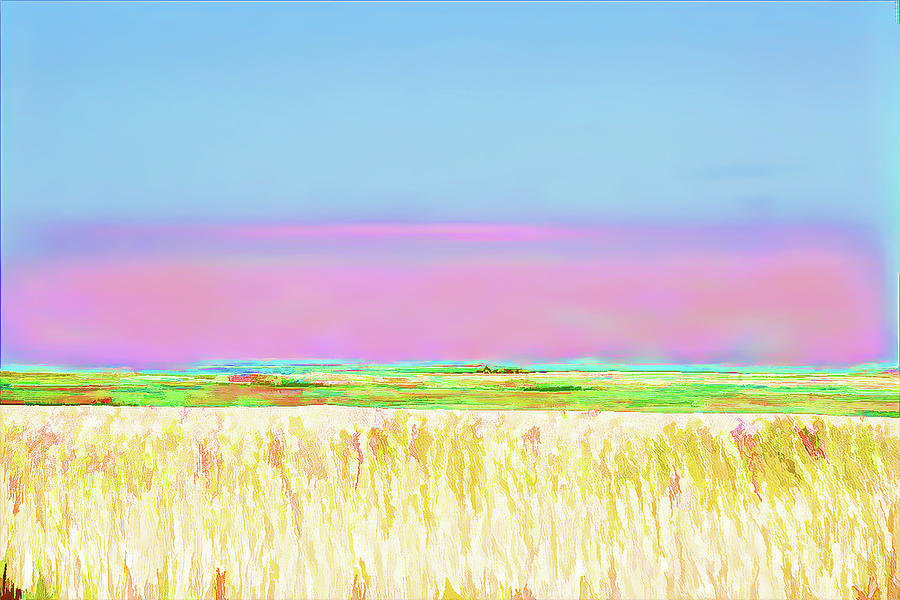Washington State Wheat Fields Abstract  Digital Art by Cathy Anderson