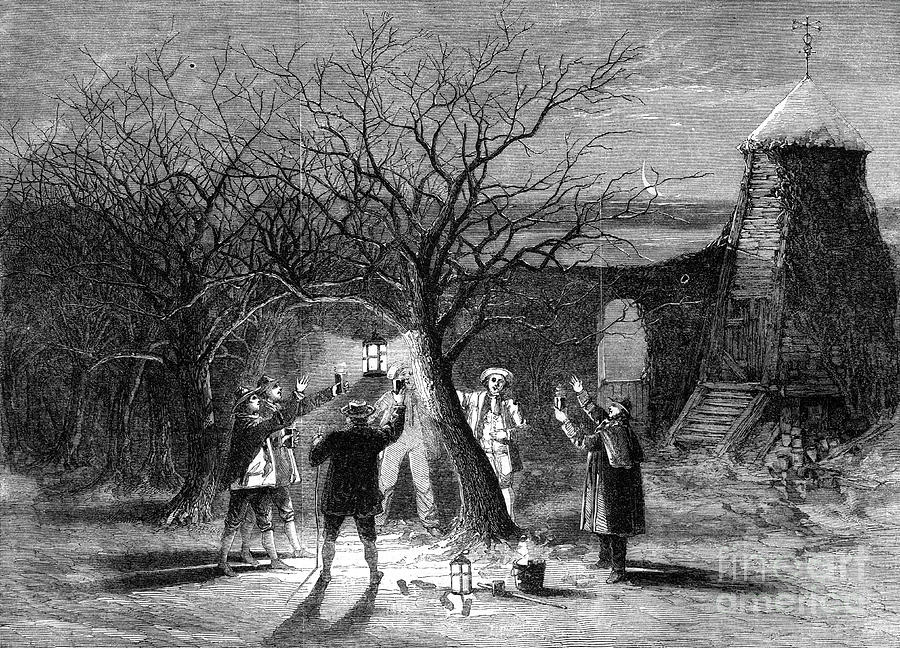 Wassailing Apple Trees With Hot Cider Drawing by Print Collector
