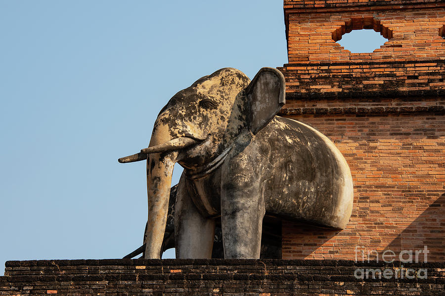 Architecture Photograph - Wat Chemie Luang Elephant Statue by Bob Phillips