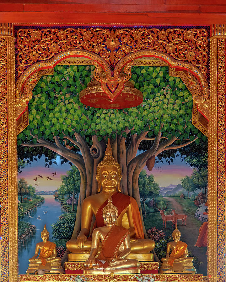 Wat Kulek Phra Wihan Buddha Images DTHLU0448 Photograph by Gerry Gantt