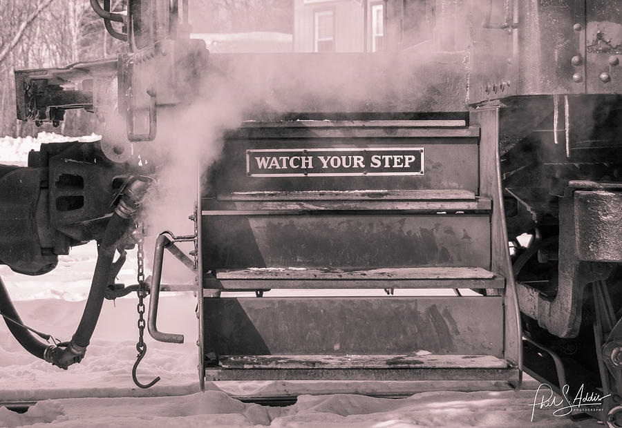 Watch Your Step Photograph by Phil S Addis