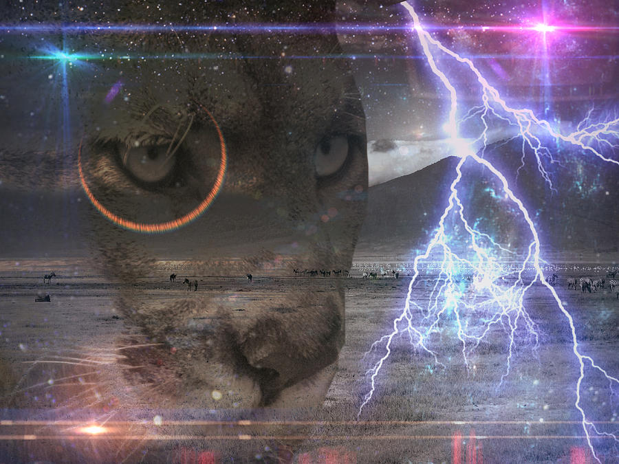 WATCHER OF THE SKIES by Elie Wolf WATCHER OF THE SKIES by Elie Wolf