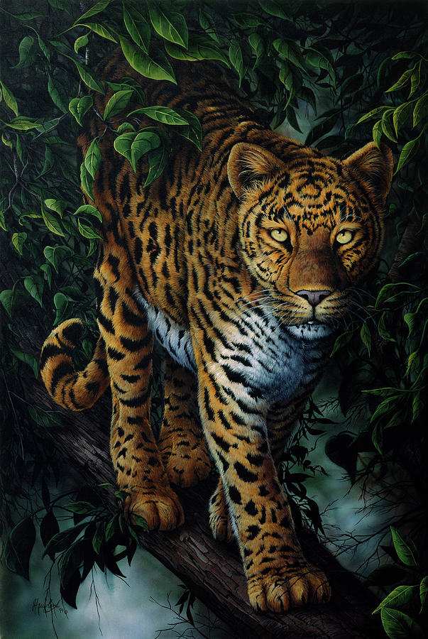 Animal Painting - Watchful Eyes by Jenny Newland