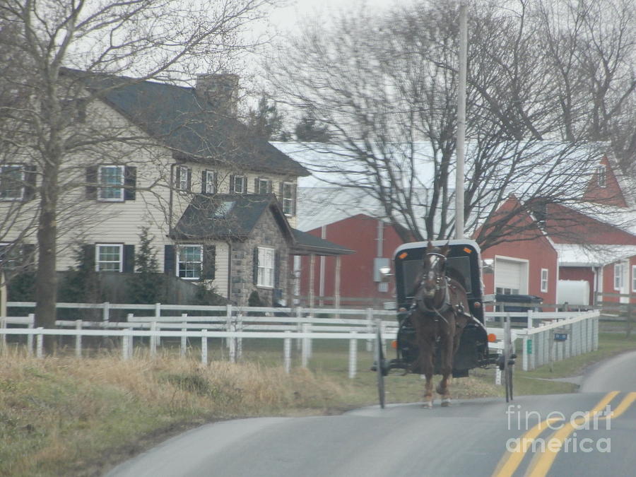 Watching an Approaching Amish Buggy Photograph by Christine Clark