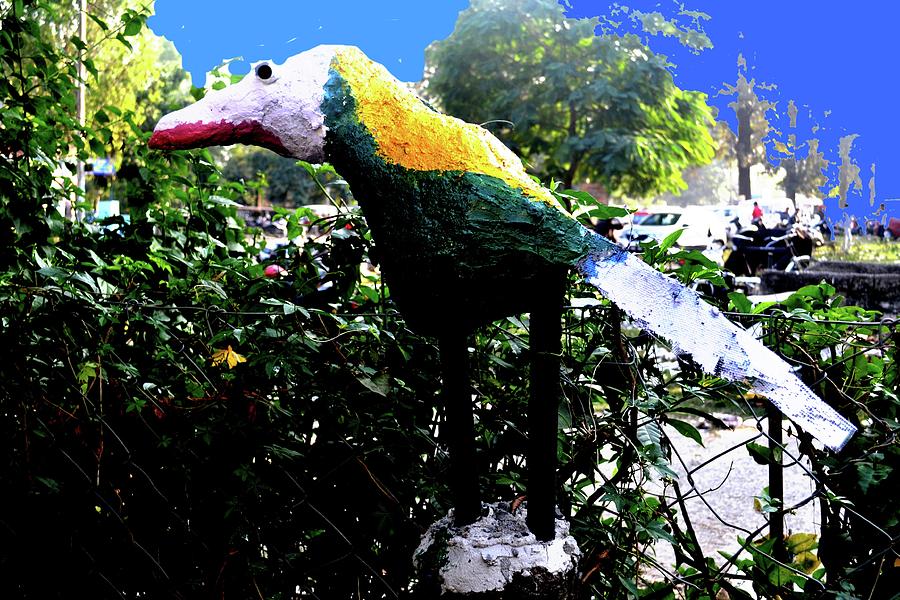 Watching Bird Sculpture by Anand Swaroop Manchiraju