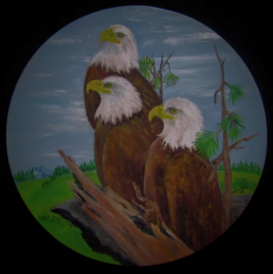 Bald Eagle Painting - Watching by Sandra Maddox