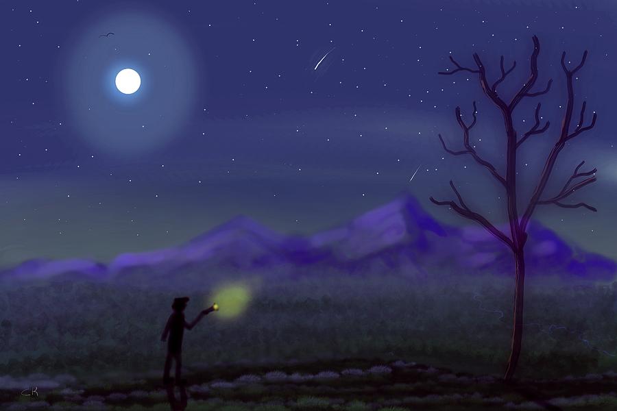 Watching Shooting Stars Digital Art by Chance Kafka
