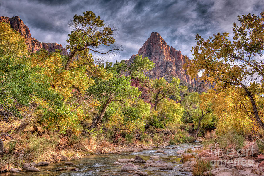 Watchman of Zion by Charles Dobbs Watchman of Zion by Charles Dobbs
