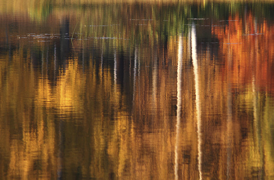 Fall Photograph - Water Art by Bror Johansson