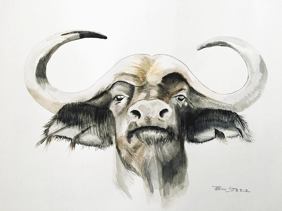 Water Buffalo Painting by Bill Steele