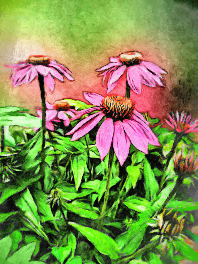 Water Color Purple Cone Flower Photograph by Leslie Montgomery