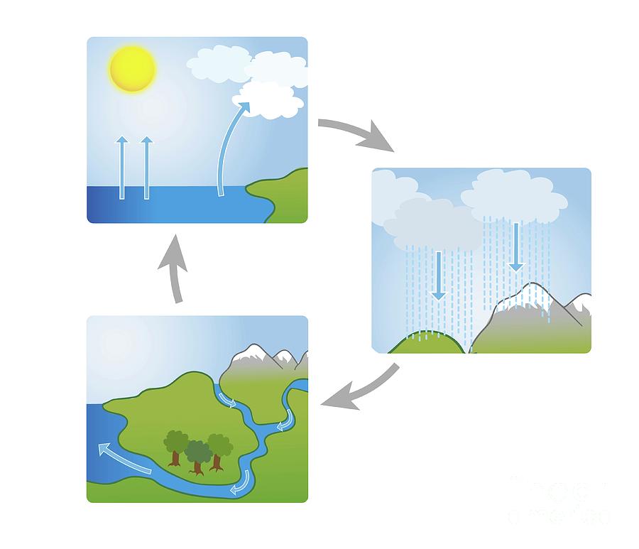 Water Cycle Photograph by Jeanette Engqvist/science Photo Library
