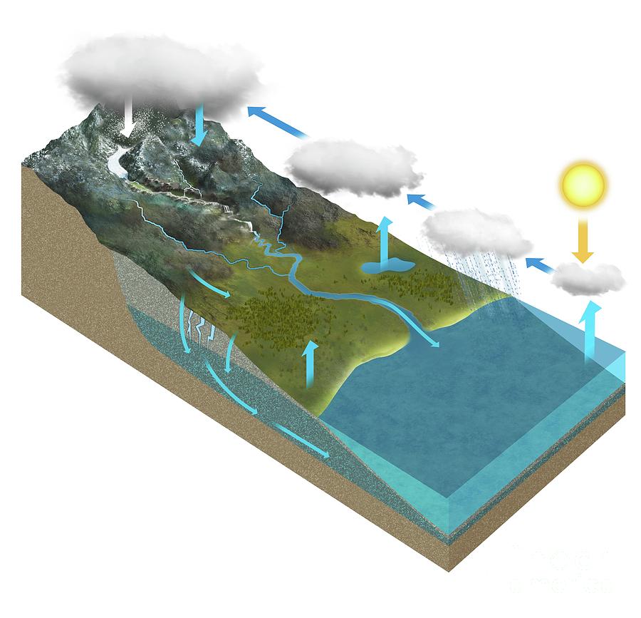 Water Cycle Photograph by Tim Brown/science Photo Library