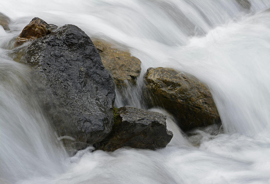 Water Dance Photograph By Whispering Peaks Photography 