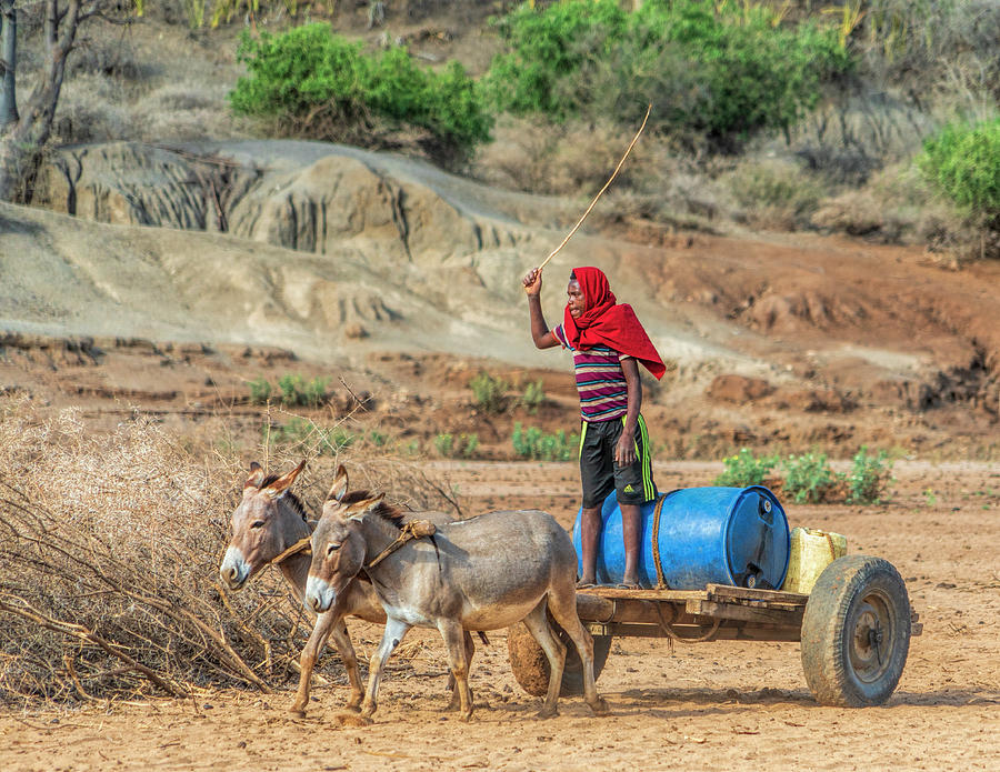 Water Delivery Photograph by Betty Eich