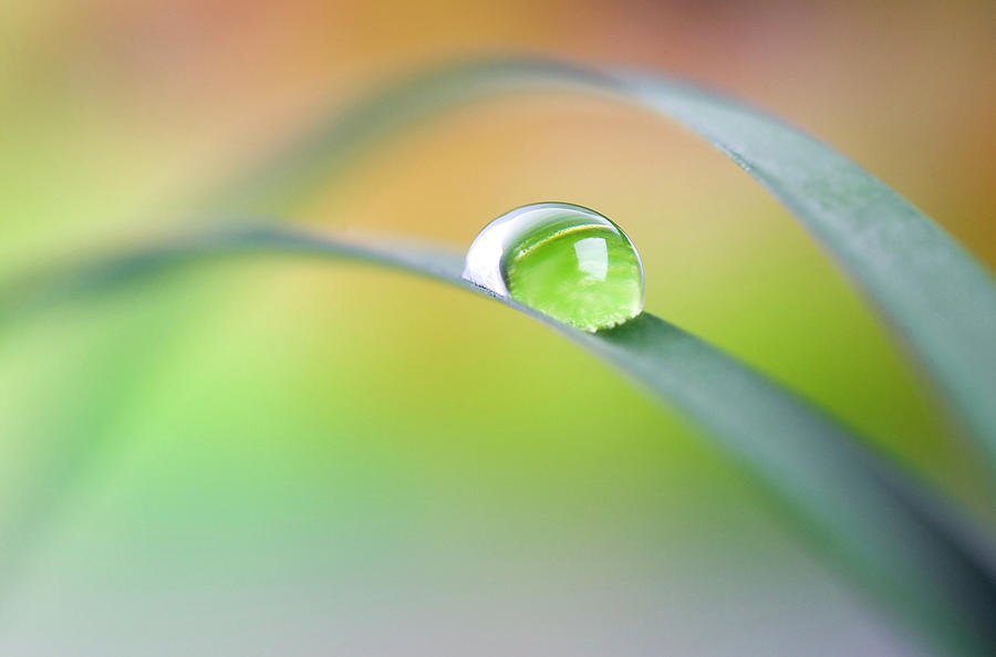 Water Drop Photograph by Bluehill75