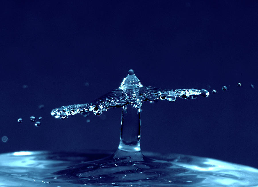 Water Drop Photograph by Glenice G McNeal - Fine Art America