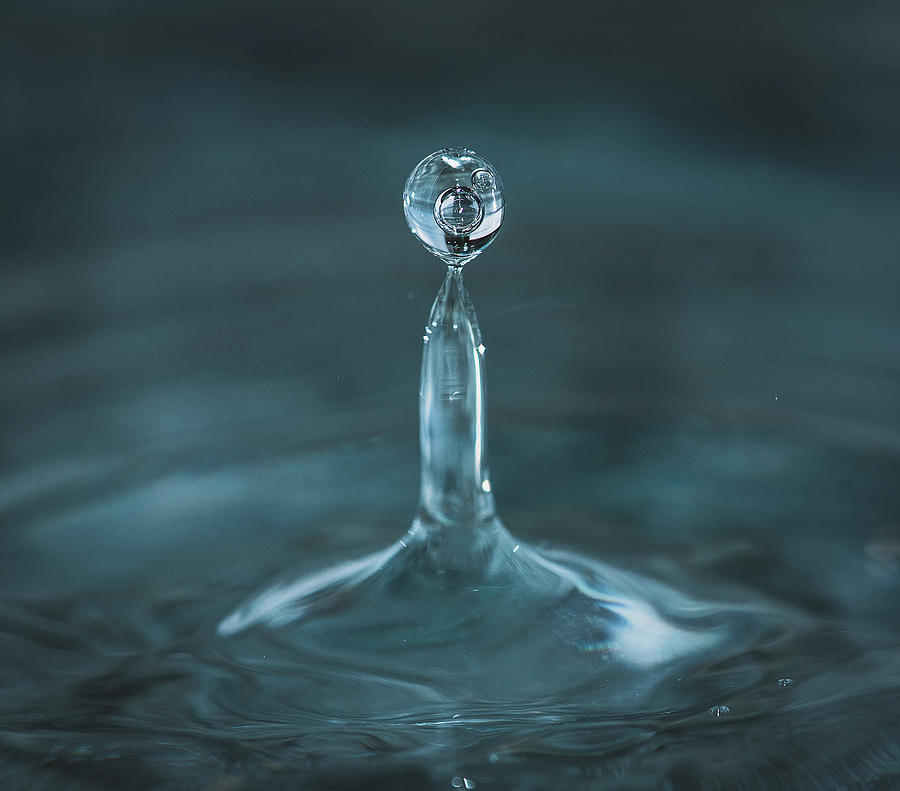 Water Drop Photograph by Lori Rowland