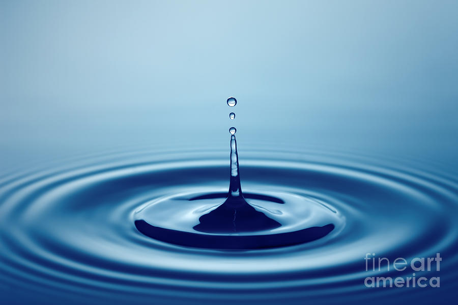 Drop Photograph - Water Drop Shallow Dof With Focus On by Johan Swanepoel Drop Photograph - Water Drop Shallow Dof With Focus On by Johan Swanepoel