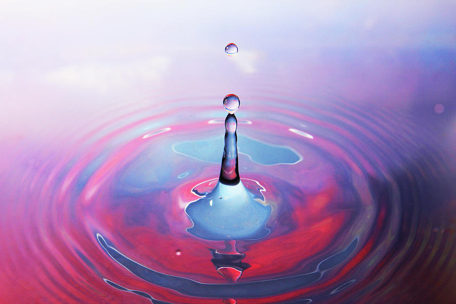 Water Drop Splash Photograph by Luvnish Karnani