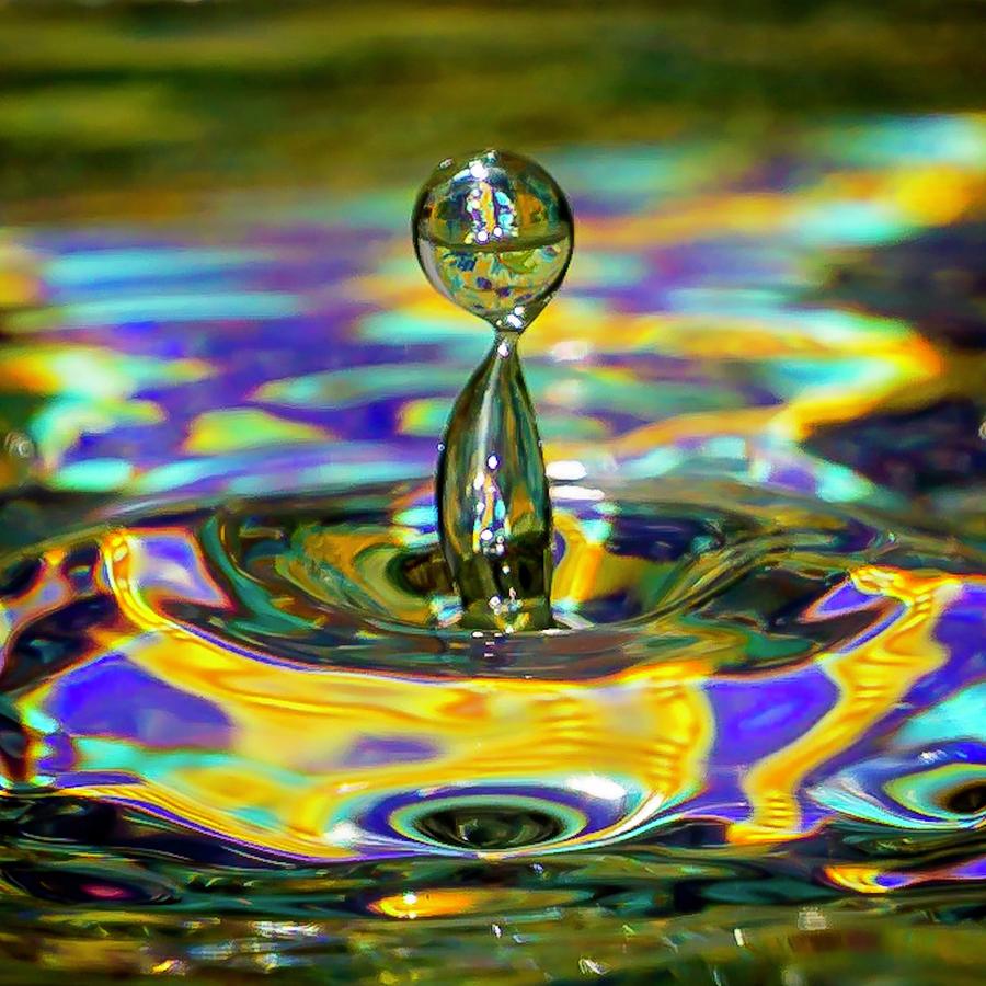 Water Droplet Photograph by Lynne Pedlar - Fine Art America