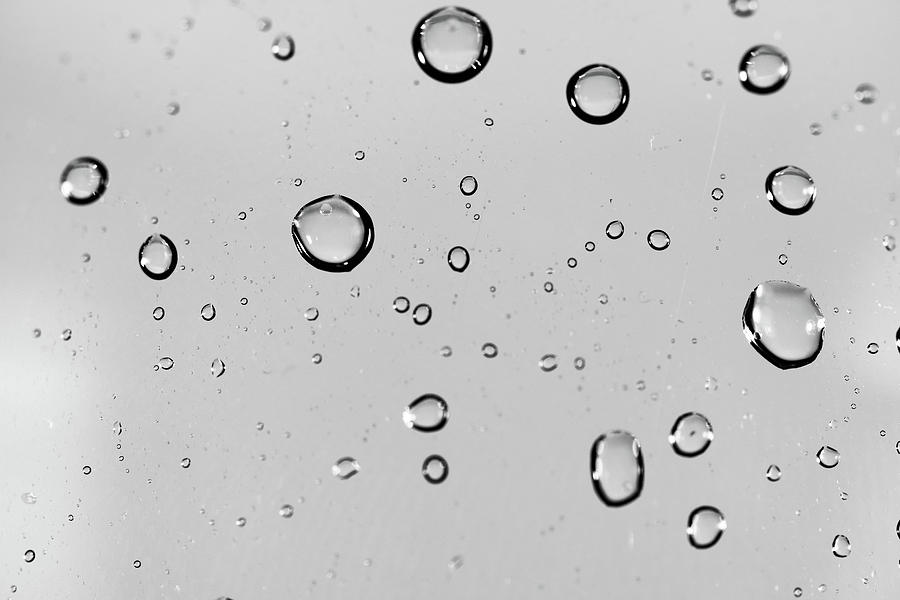 Water Drops Close Up Macro Shot In Black And White Photograph By