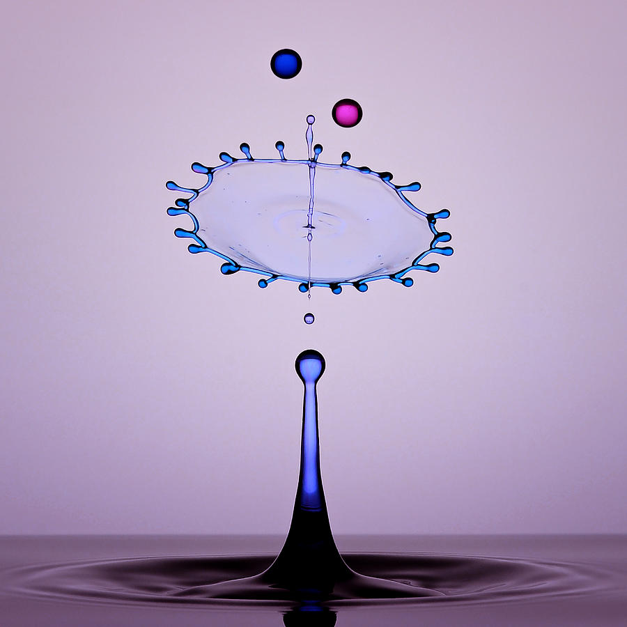 Water Drops Photograph by Edy Pamungkas