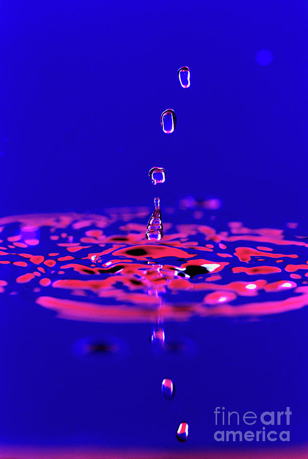Water Drops Impacting On Water Surface Photograph by Science Photo Library Water Drops Impacting On Water Surface Photograph by Science Photo Library