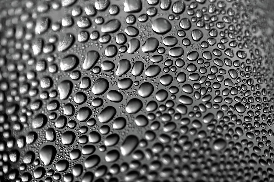 Water Drops in Black and White Photograph by Prakash Ghai