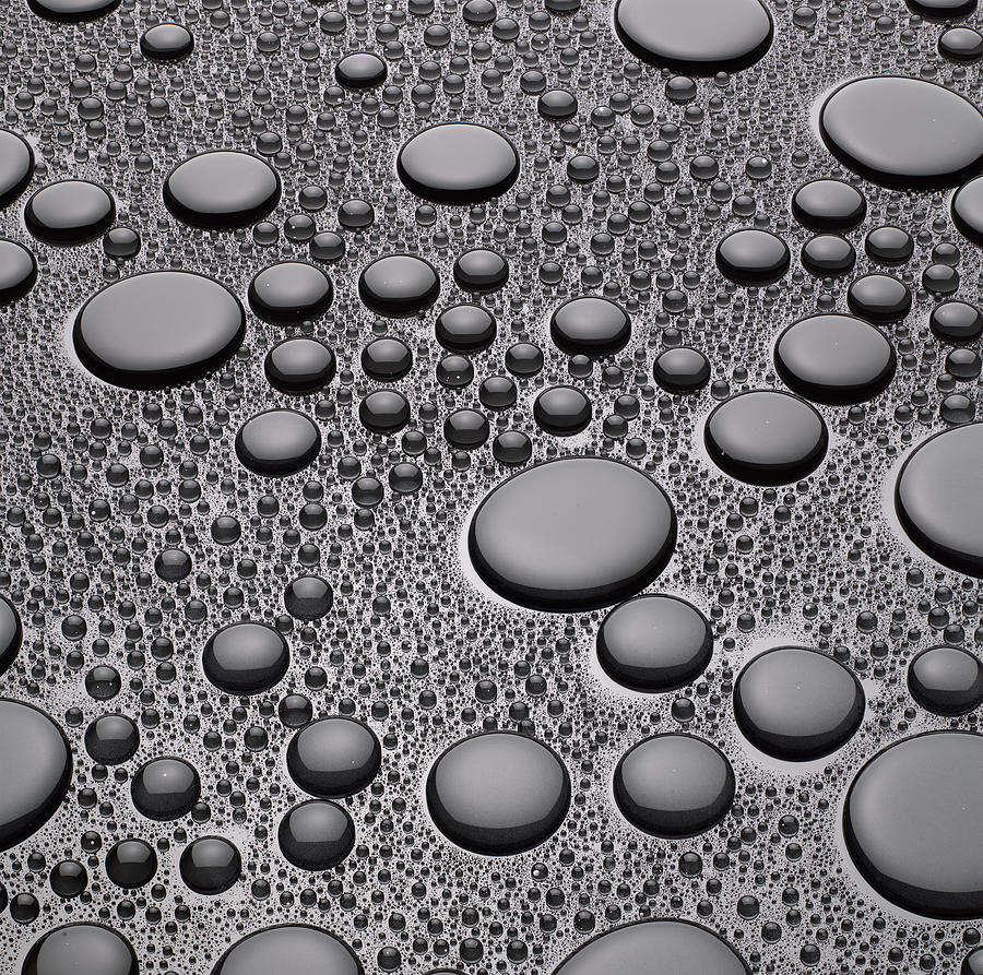 Water Drops On A Smooth Background Photograph by Don Farrall