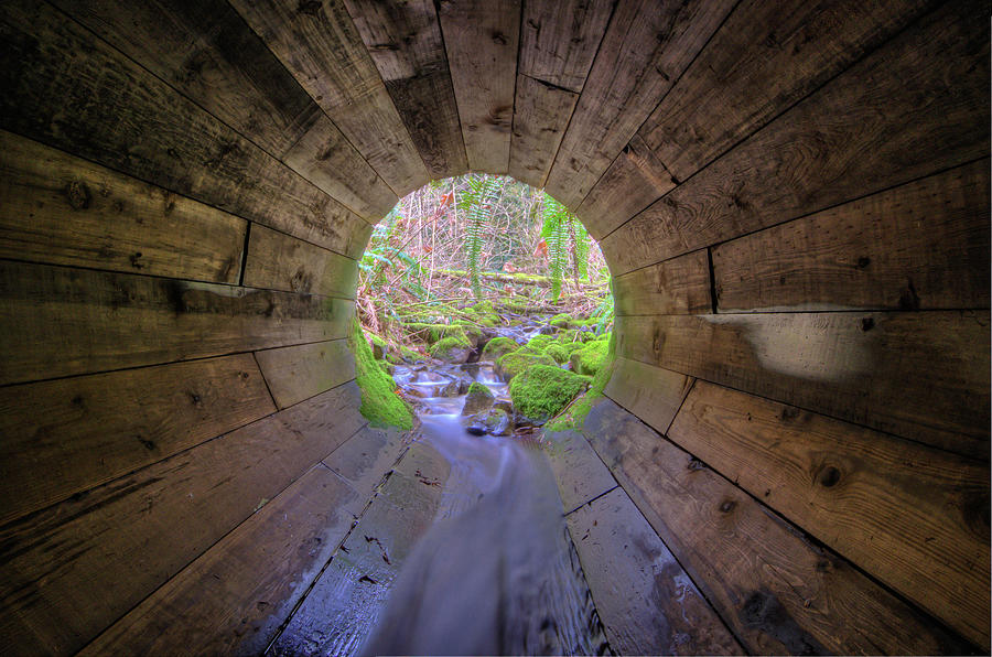 Water Duct Into Forest Photograph by Copyright Alan Drake