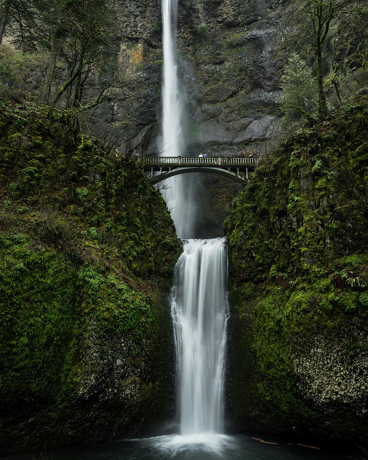 Winter Photograph - Water Fall In Portland Oregon by Cavan Images
