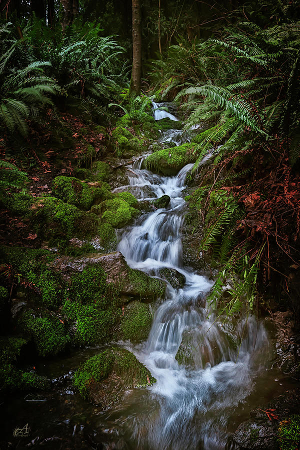 Water Fall Photograph by Thomas Ashcraft