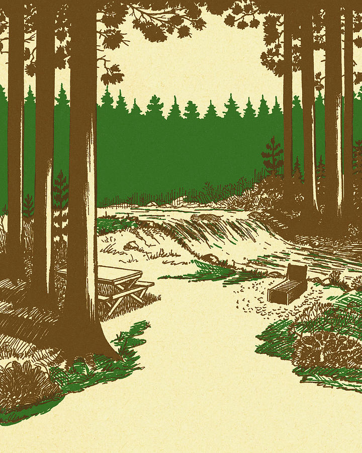 Nature Drawing - Water Falls in the Forest by CSA Images