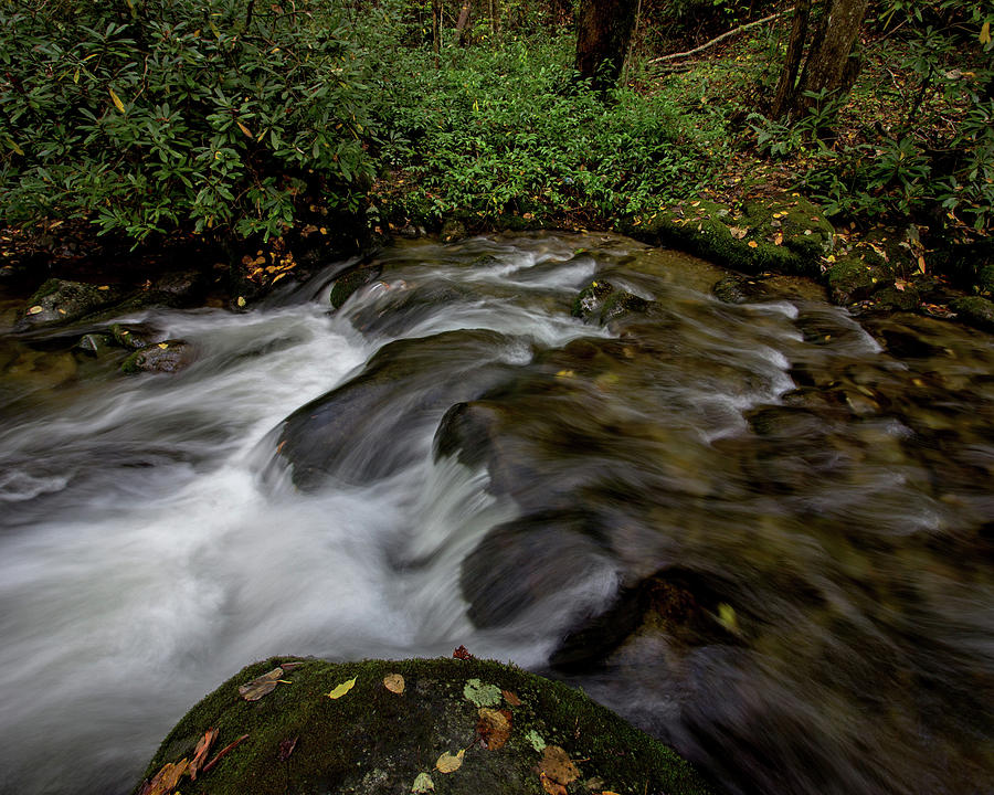 Water Flowing over Rocks by Angel Sharum Water Flowing over Rocks by Angel Sharum