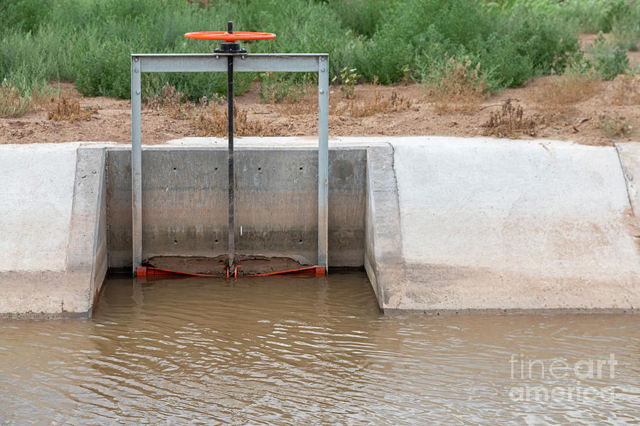 Desert Photograph - Water From Rio Grande Being Diverted For Irrigation by Jim West/science Photo Library