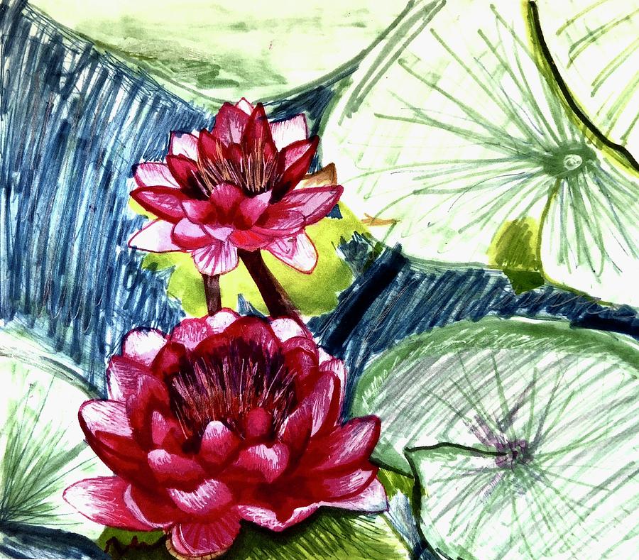 Flowers Still Life Drawing - Water Lilies by Ally Spray