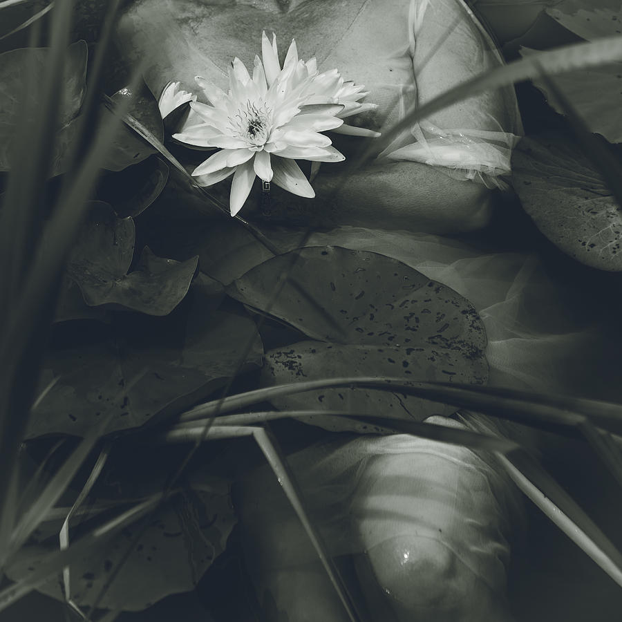 Nude Photograph - Water Lilies by Dzintra Zvagina