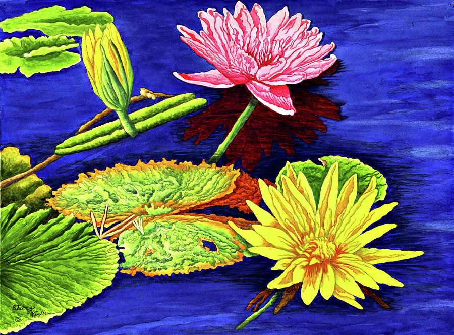 Water Lilies Painting - Water Lilies IIi by Thelma Winter