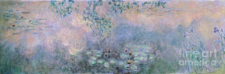 Water Lilies Le Bassin Aux Nympheas Avec Iris By Claude Monet Painting by Claude Monet