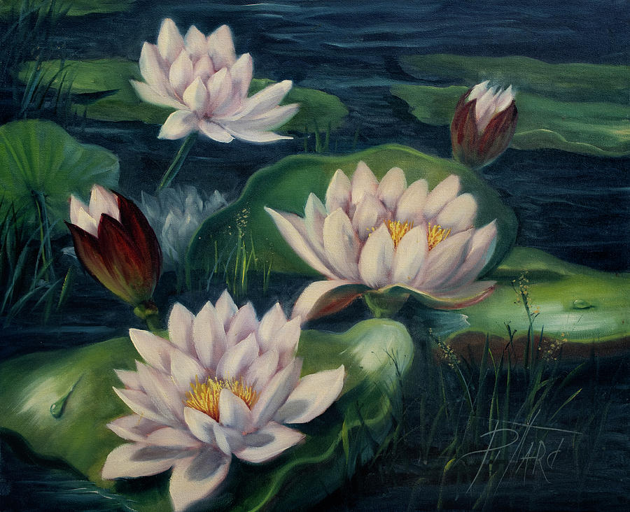 White Water Lilies Painting by Lynne Pittard