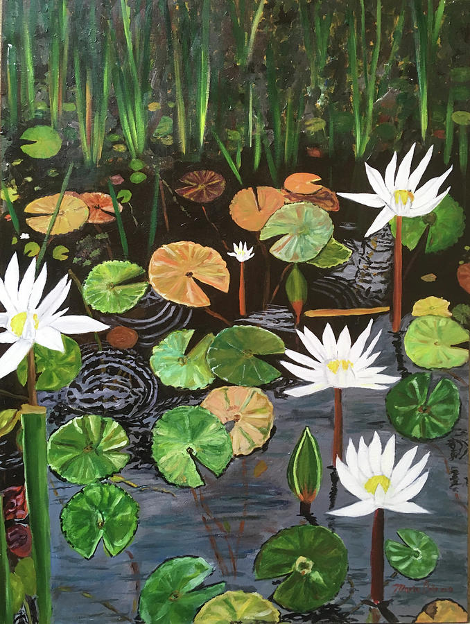 Water Lilies Painting by Mario Cabrera