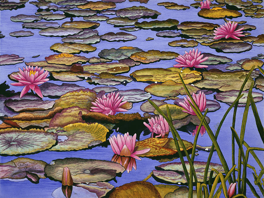 Water Lillies Painting - Water Lilies by Thelma Winter