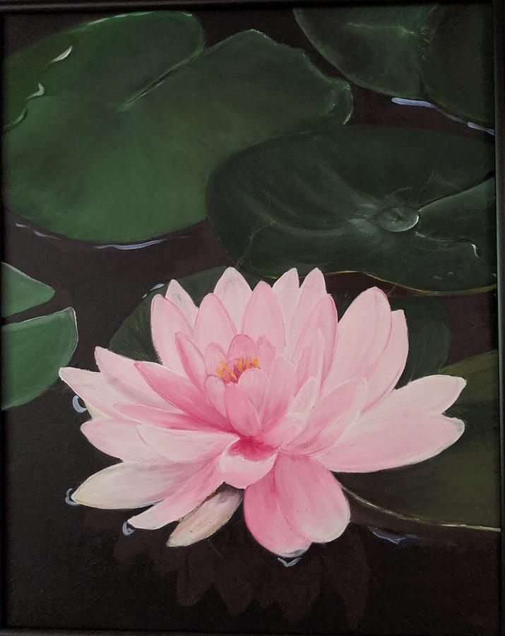 Water lily Painting by Judy Rys | Fine Art America