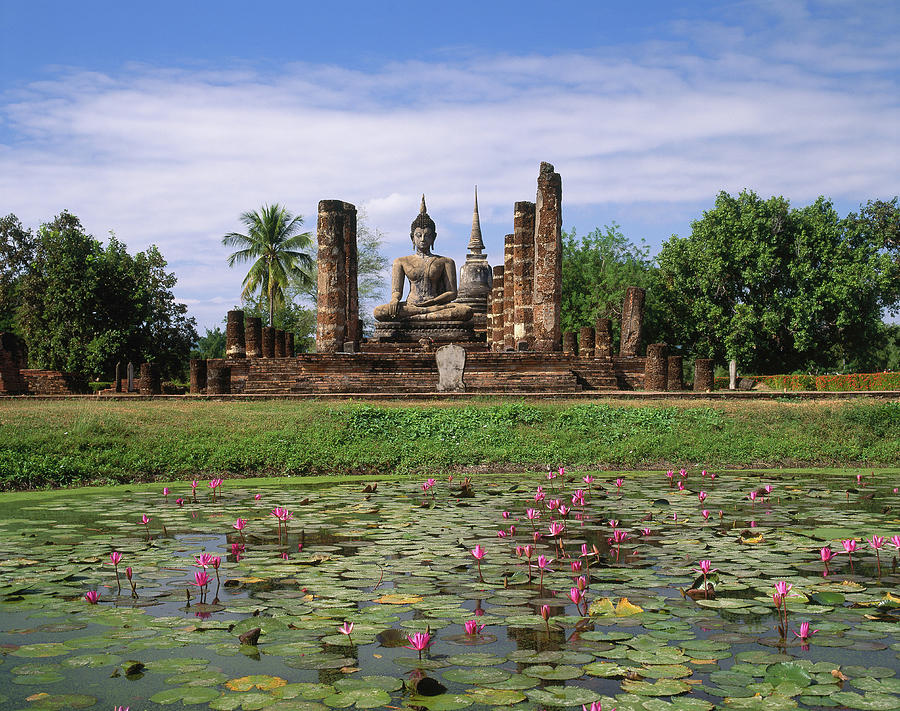 Water Lily Pond & Buddha, Thailand Digital Art by Reinhard Schmid