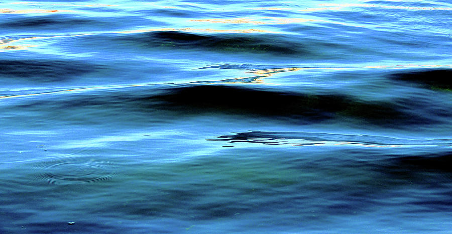 Water Macro Photograph