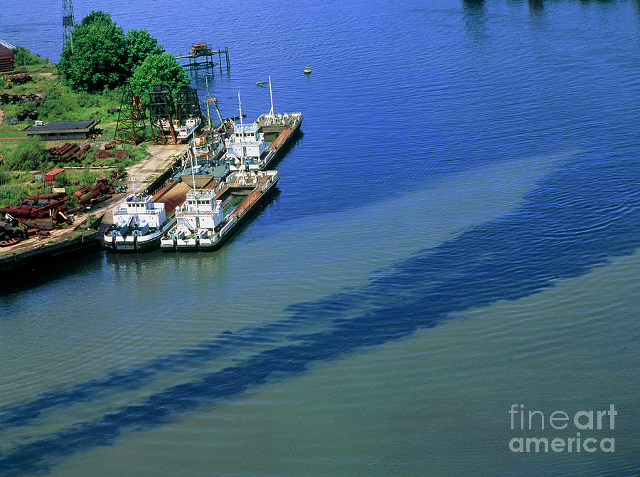 Water Pollution In An Argentinian Port Photograph by Carlos Goldin/science Photo Library
