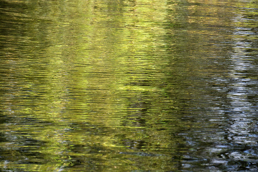 Water Reflection_521_17 by Tari Kerss Water Reflection_521_17 by Tari Kerss