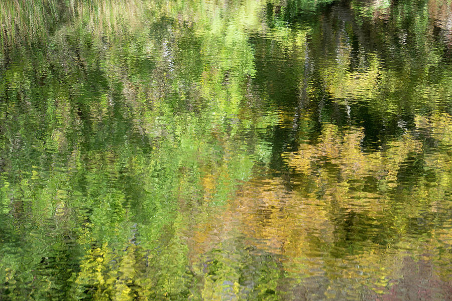 Water Reflection_598_17 by Tari Kerss Water Reflection_598_17 by Tari Kerss